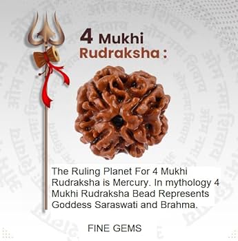 4 Mukhi Rudraksh