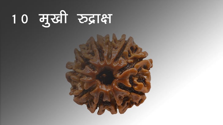 10 Mukhi Rudraksh